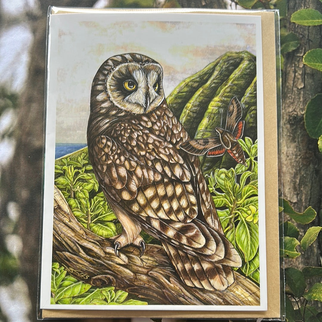 Native species cards