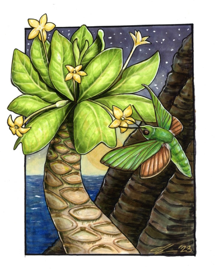 Ālula and ‘ōka’i print