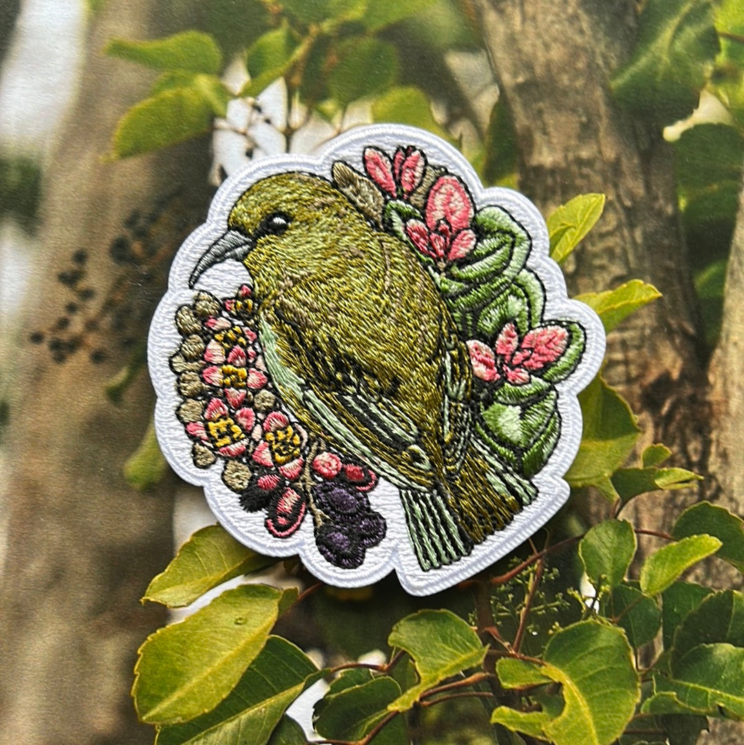 Hawaiʻi ʻamakihi and ʻiliahi patch