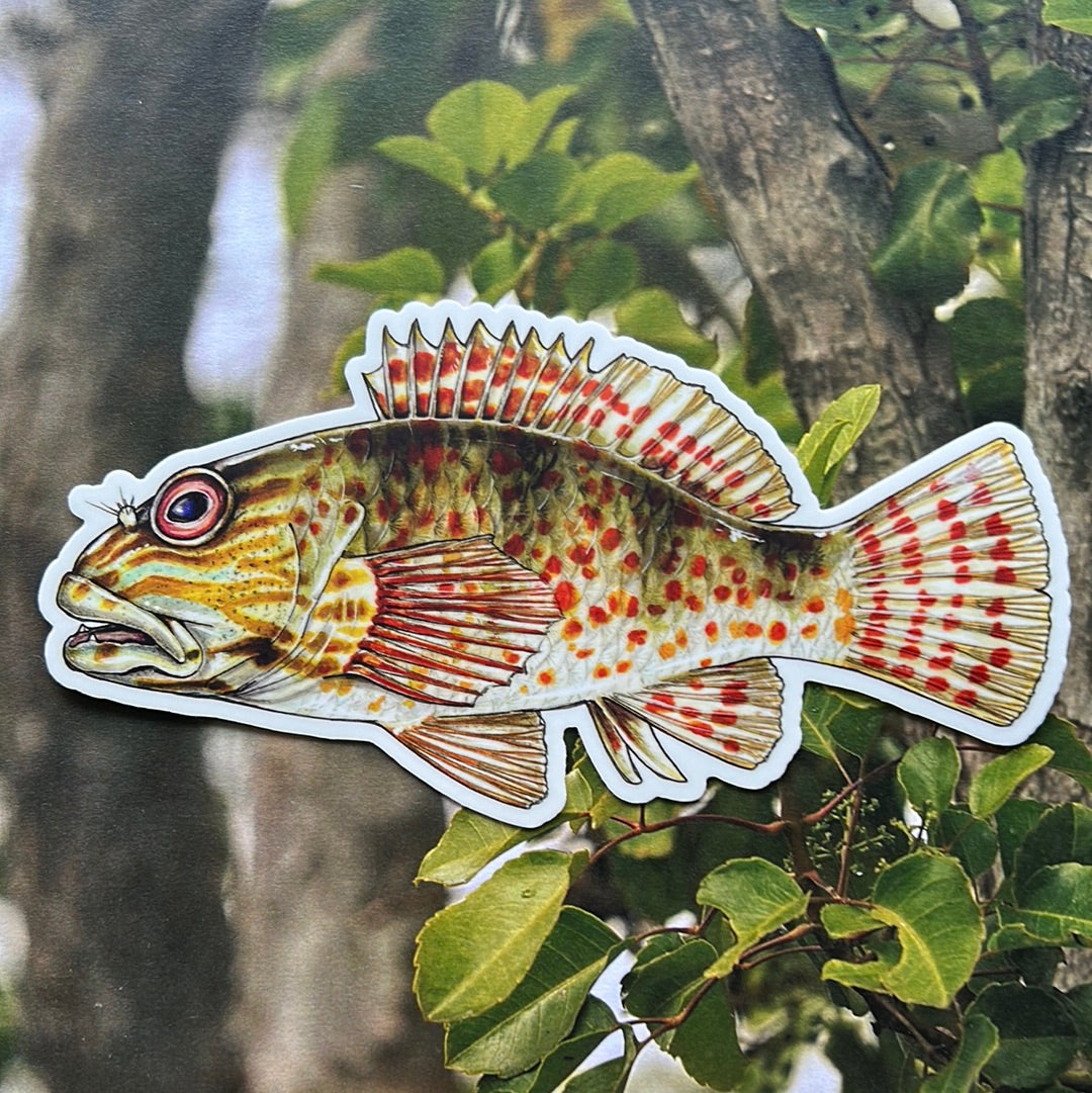 Po’opa’a sticker