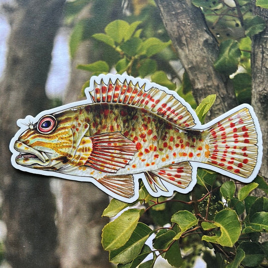 Po’opa’a sticker