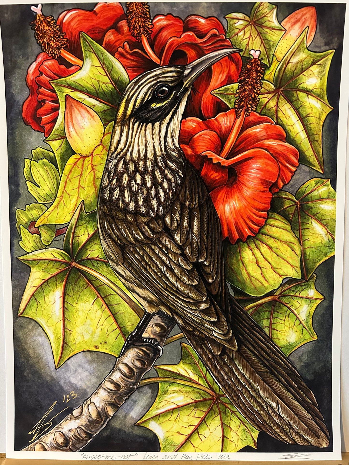 Kioea and Hau Hele 'Ula print