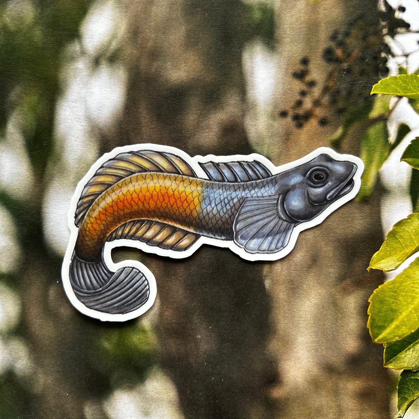 ‘O’opu ‘alamo’o sticker