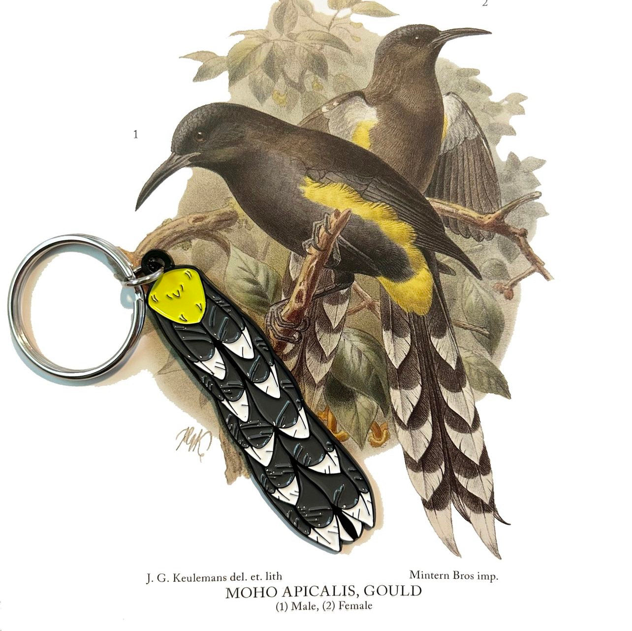 Oʻahu ʻōʻō tail keychain