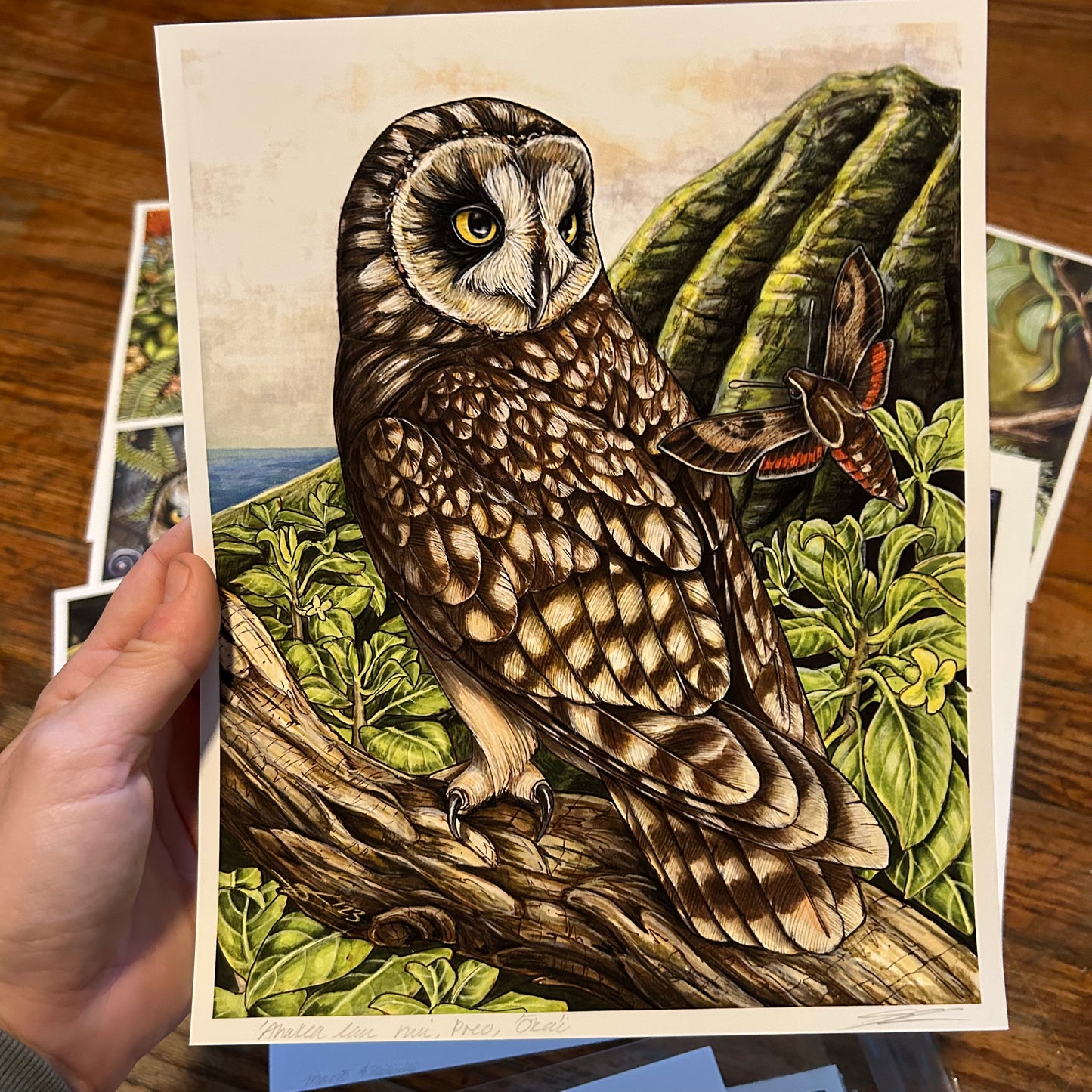 Pueo, ‘ōka’i, ‘ahakea lau nui print