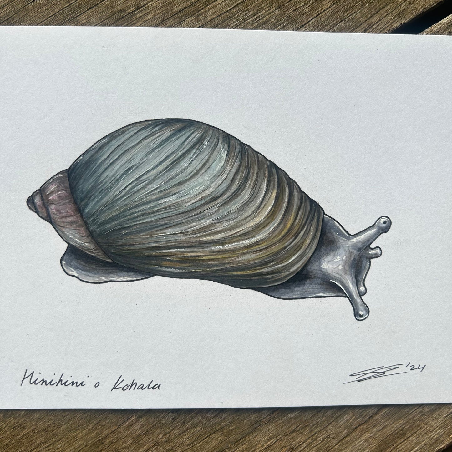 Hinihini mini original