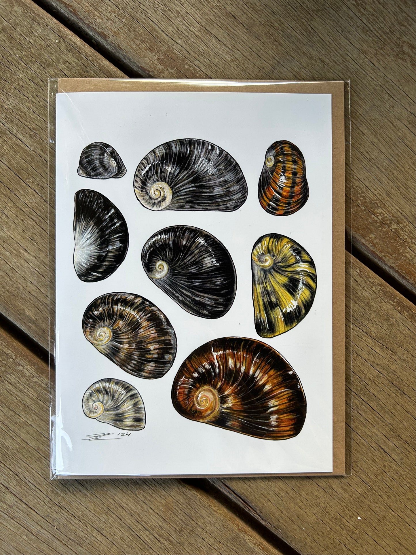 Native species cards