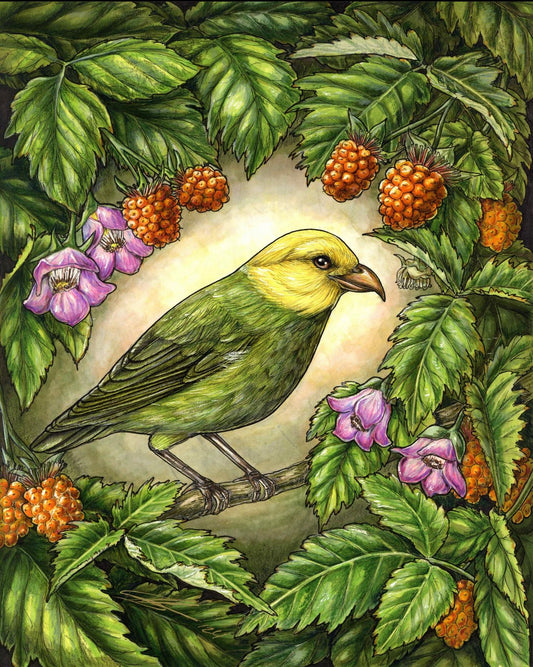 ʻŌʻū and ʻākala print