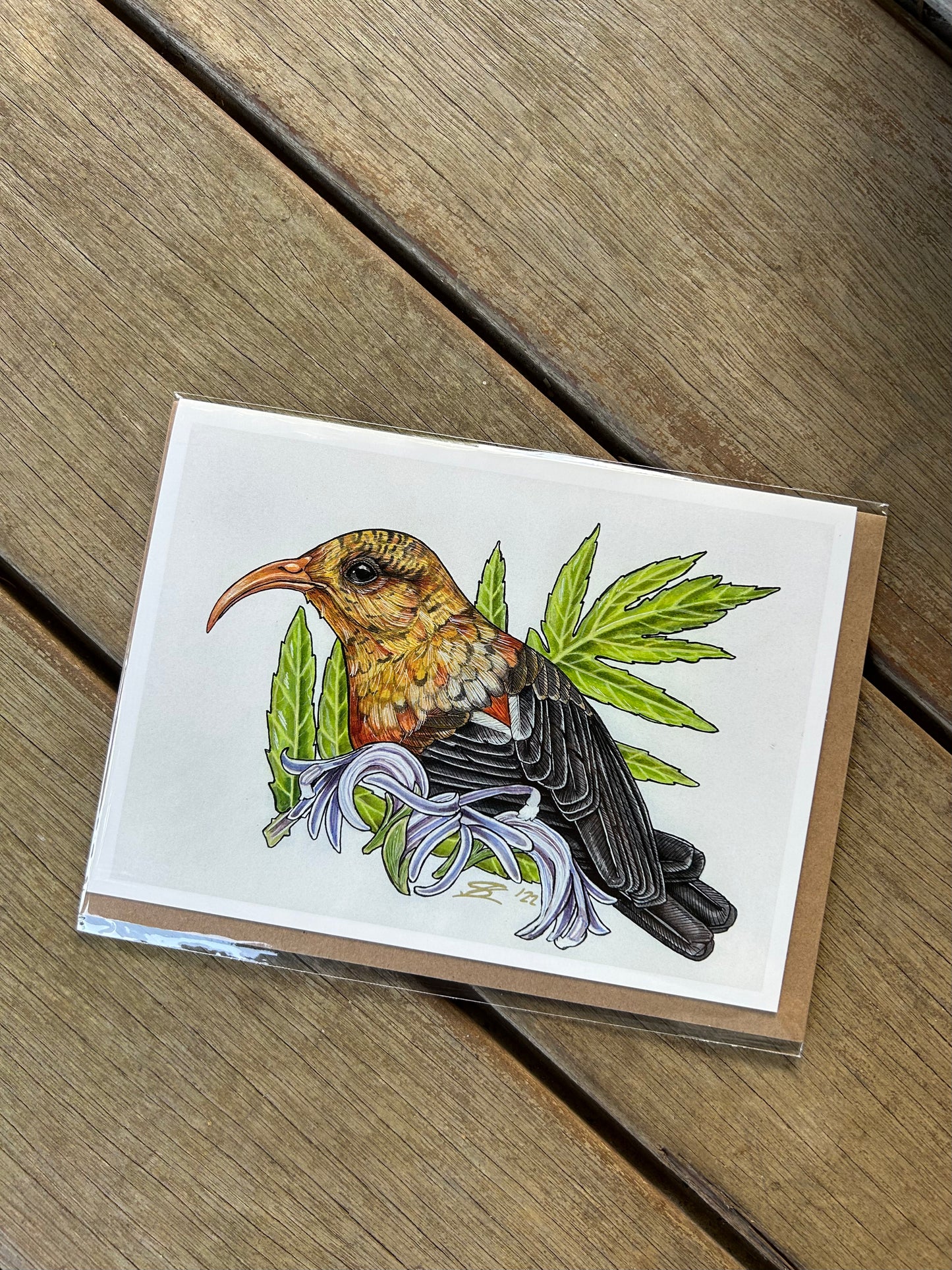 Native species cards