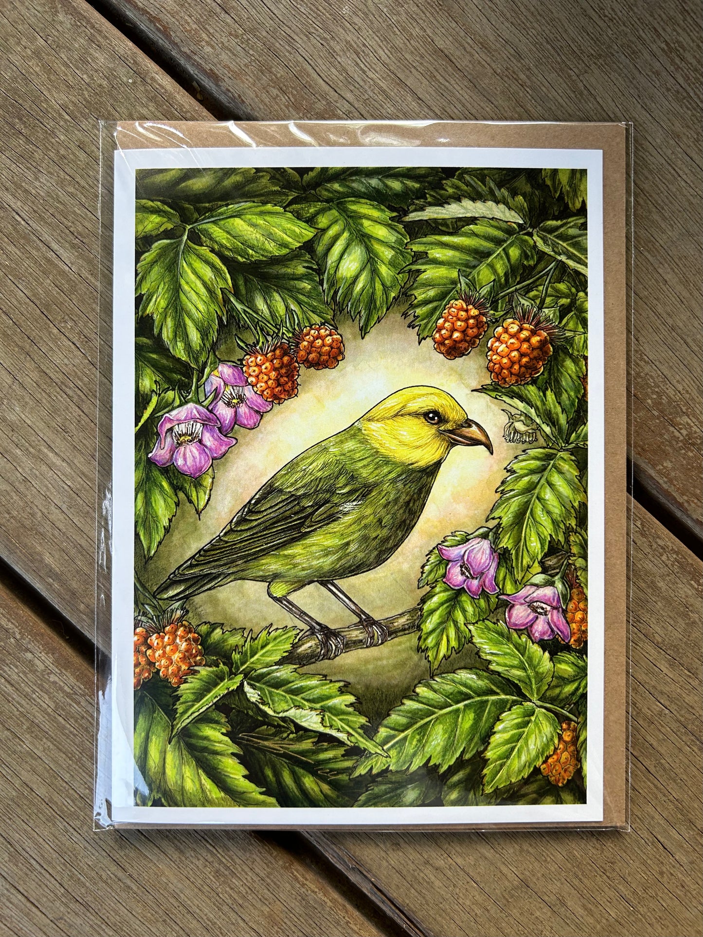 Native species cards