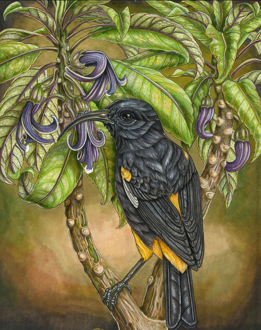 Mamo and ‘ōhā wai print