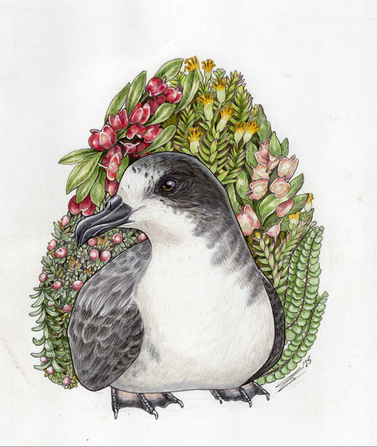 Mauna Loa ʻUaʻu original