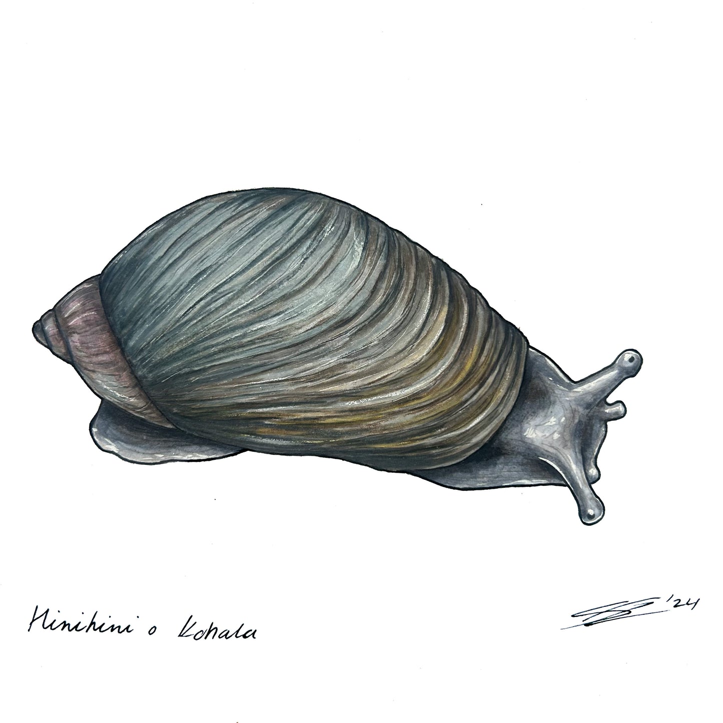 Hinihini mini original