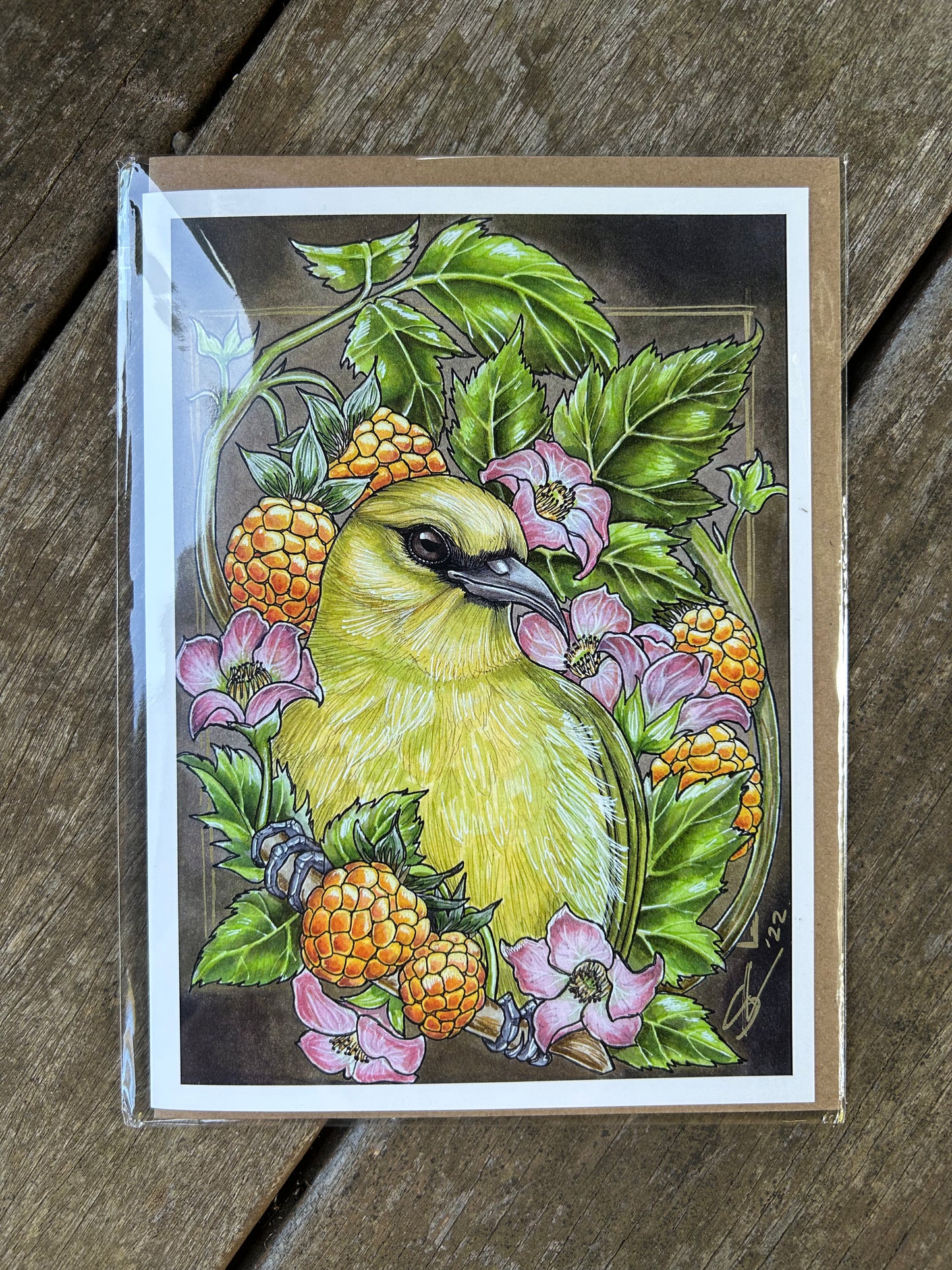 Native species cards