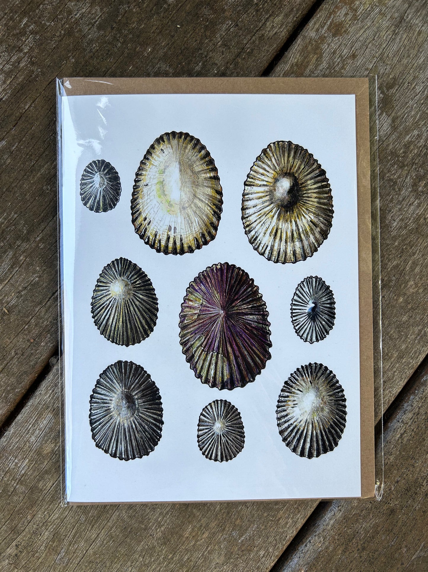 Native species cards