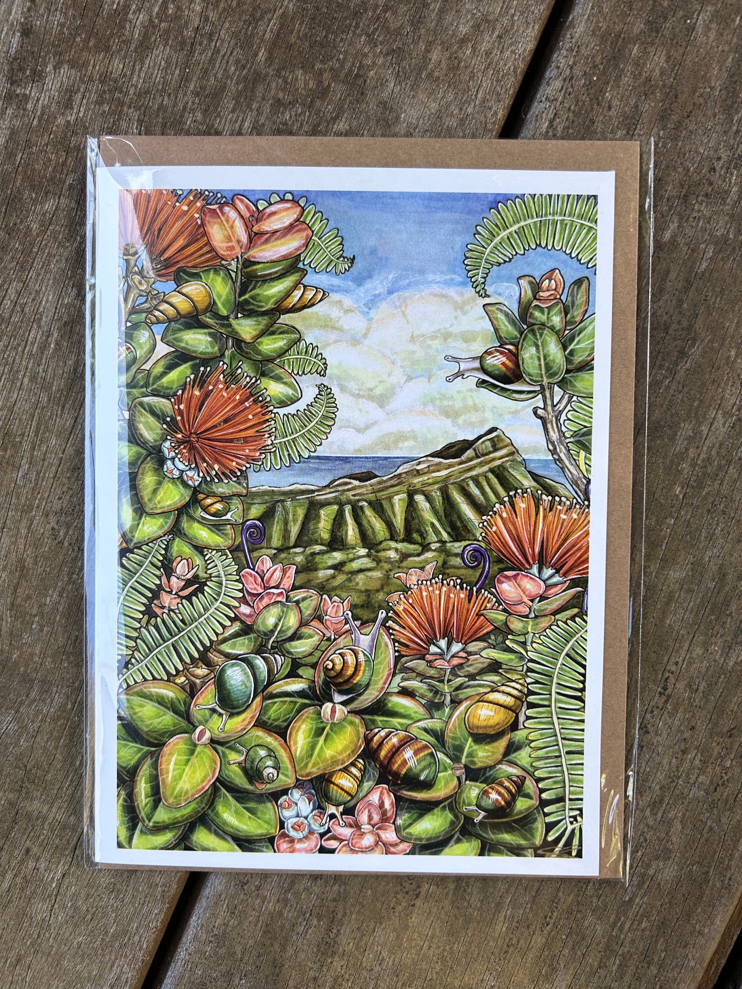 Native species cards