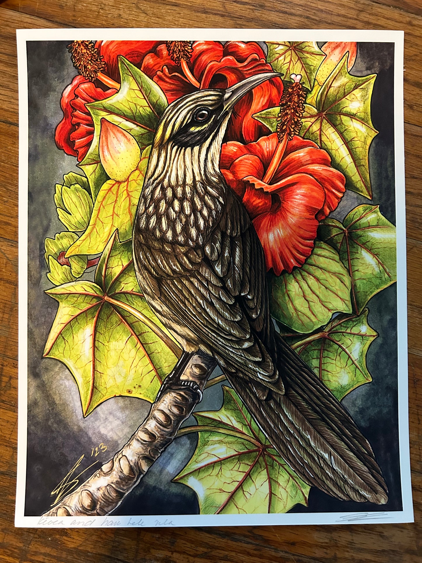 Kioea and Hau Hele 'Ula print