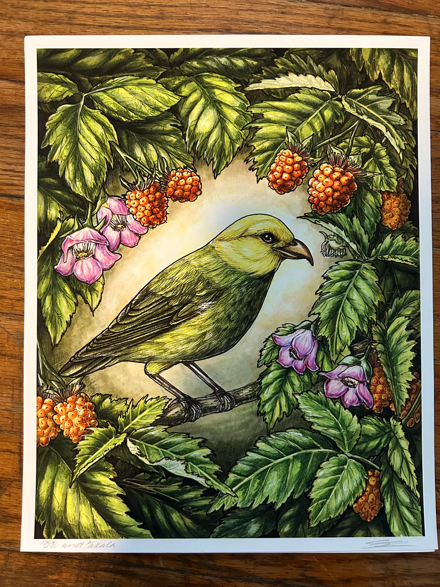 ʻŌʻū and ʻākala print