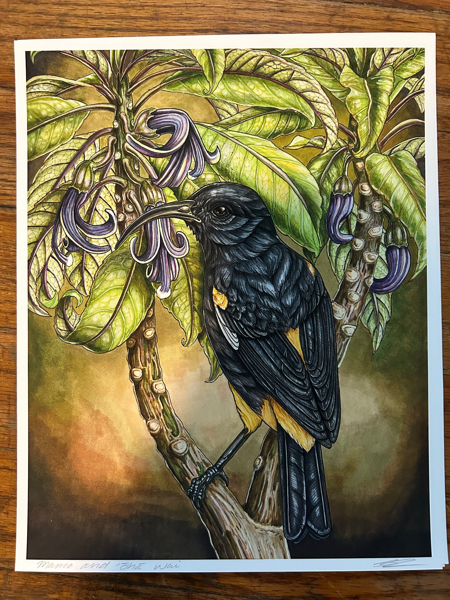 Mamo and ‘ōhā wai print