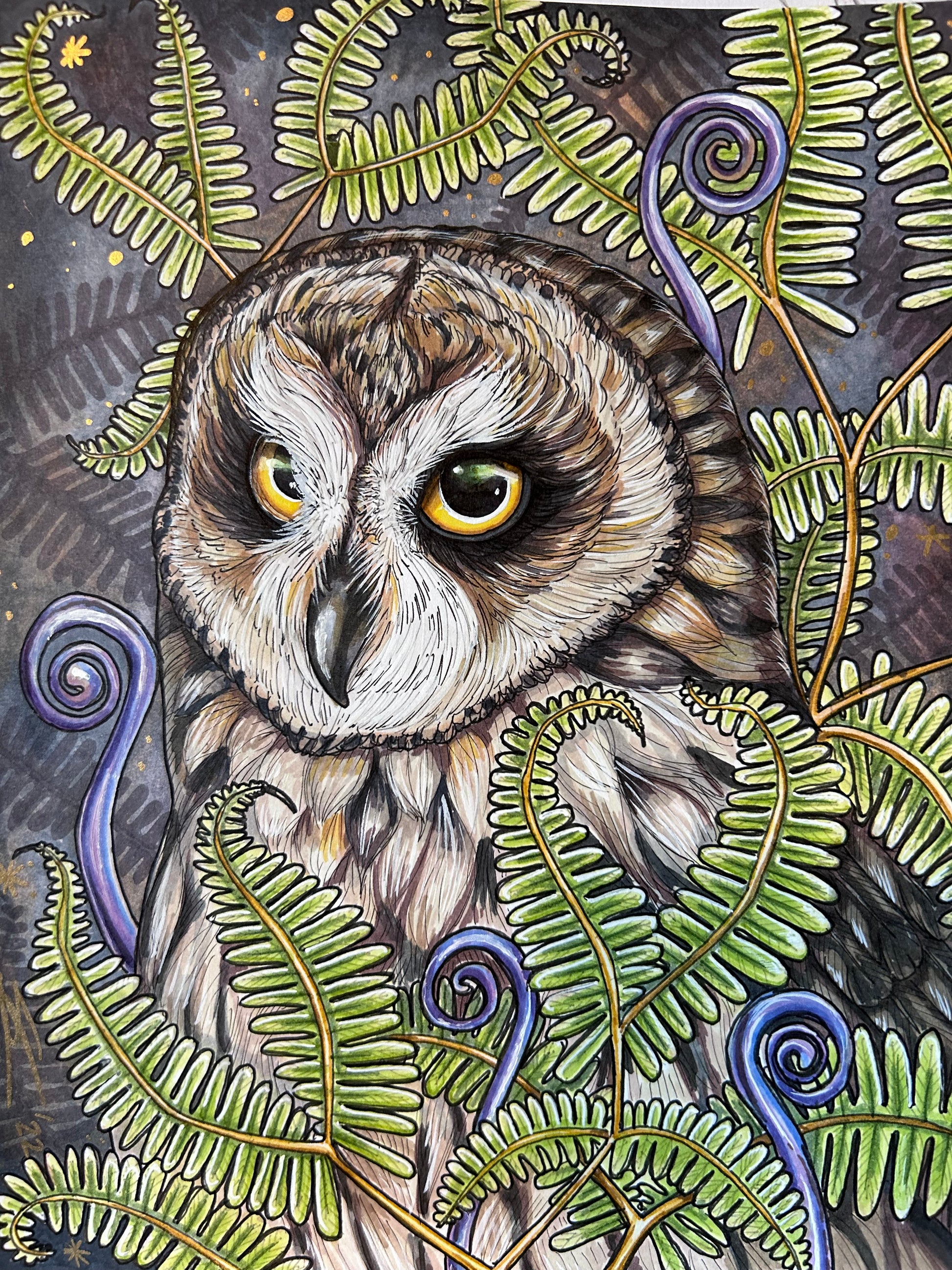 Pueo and uluhe by Saxony Charlot