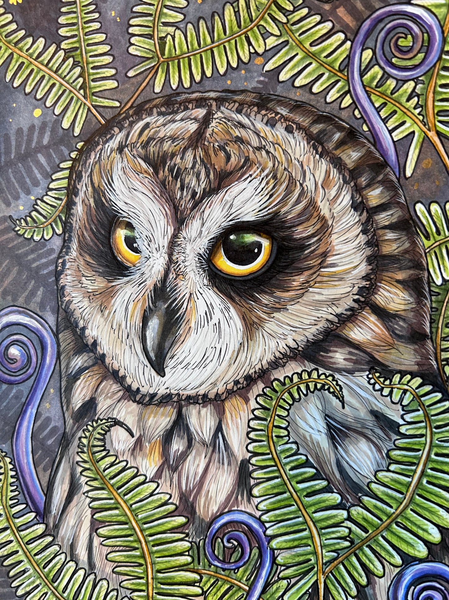 Pueo and Uluhe original