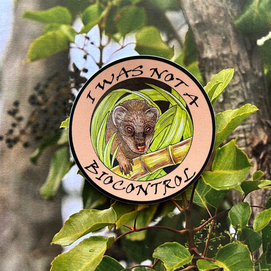 Mongoose/Biocontrol sticker
