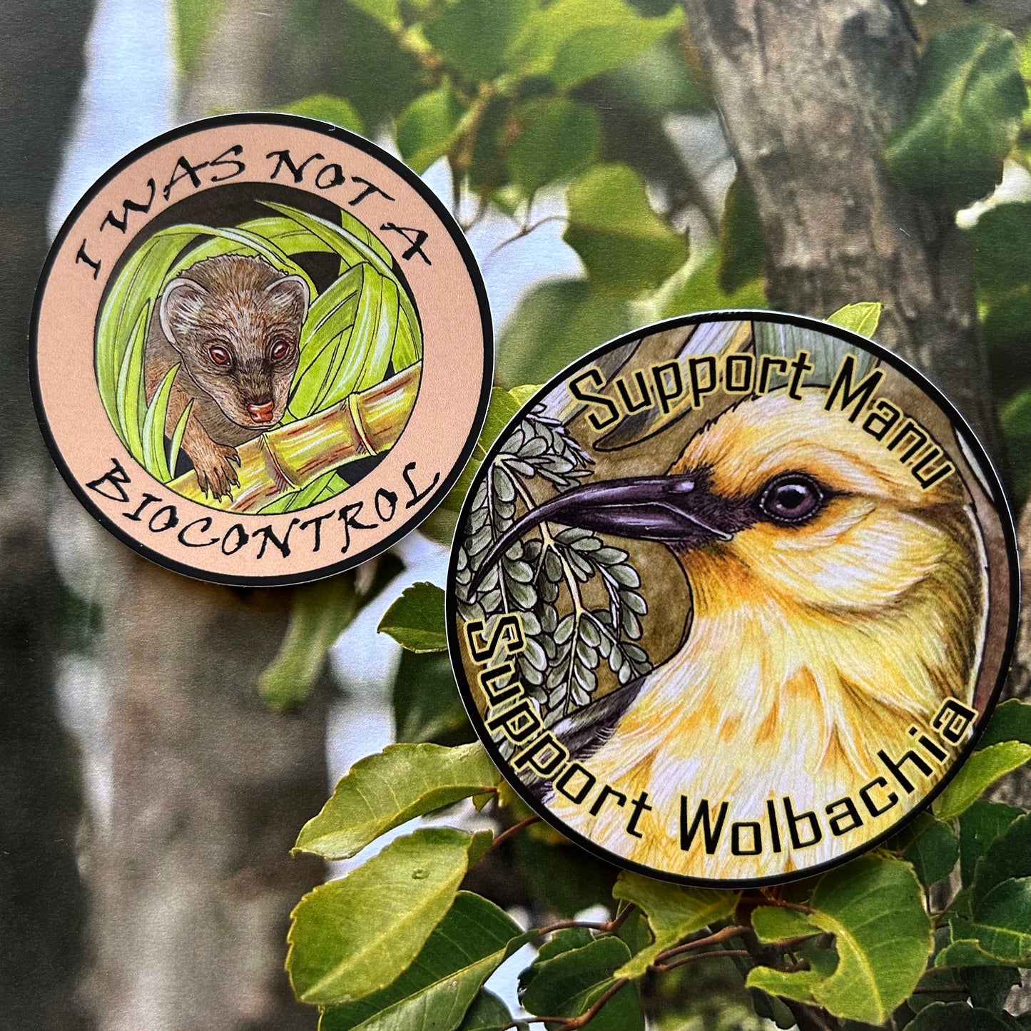Support Manu/Support Wolbachia sticker