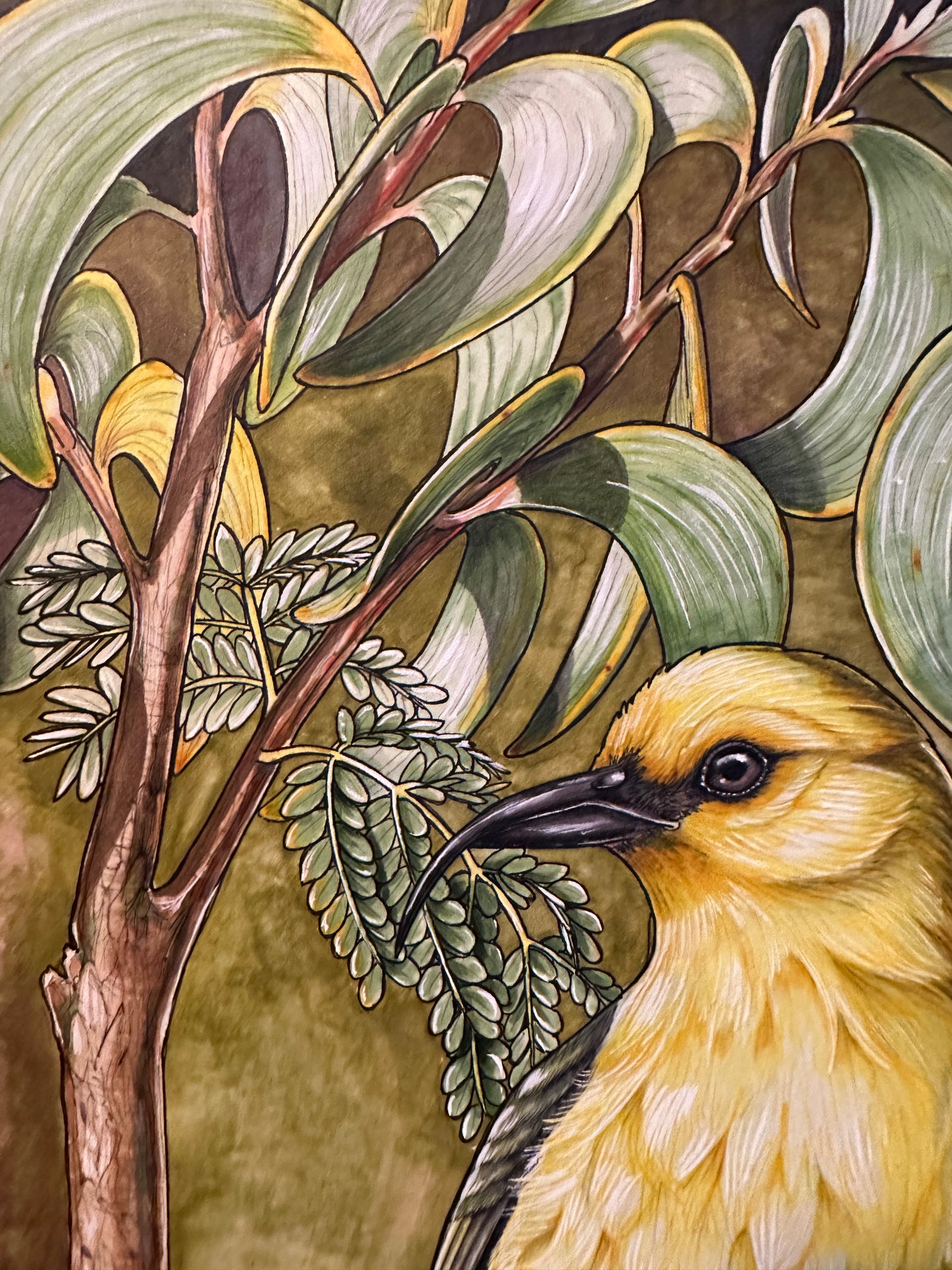 ‘Akiapōlā’au and koa original