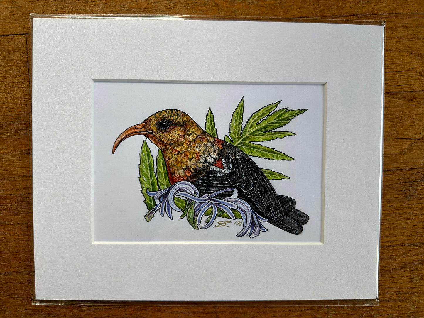 'I'iwi and Hāhā print