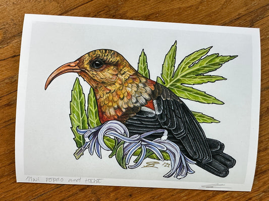 'I'iwi and Hāhā print