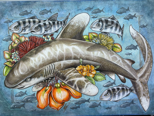 Commission: Oceanic white tip original