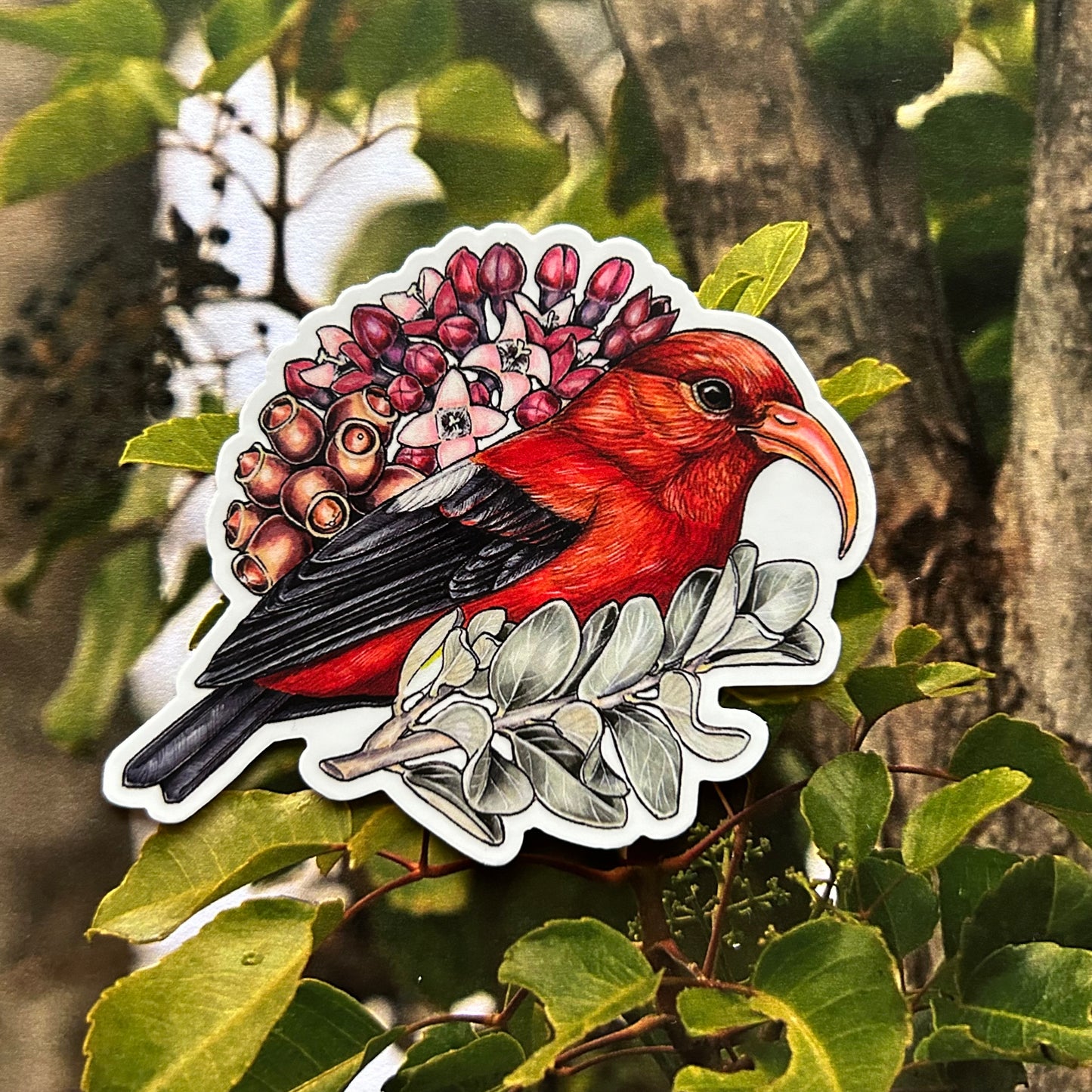 'I'iwi and 'iliahi sticker