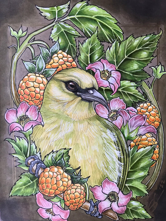 Hawai'i 'Amakihi and 'Ākala print