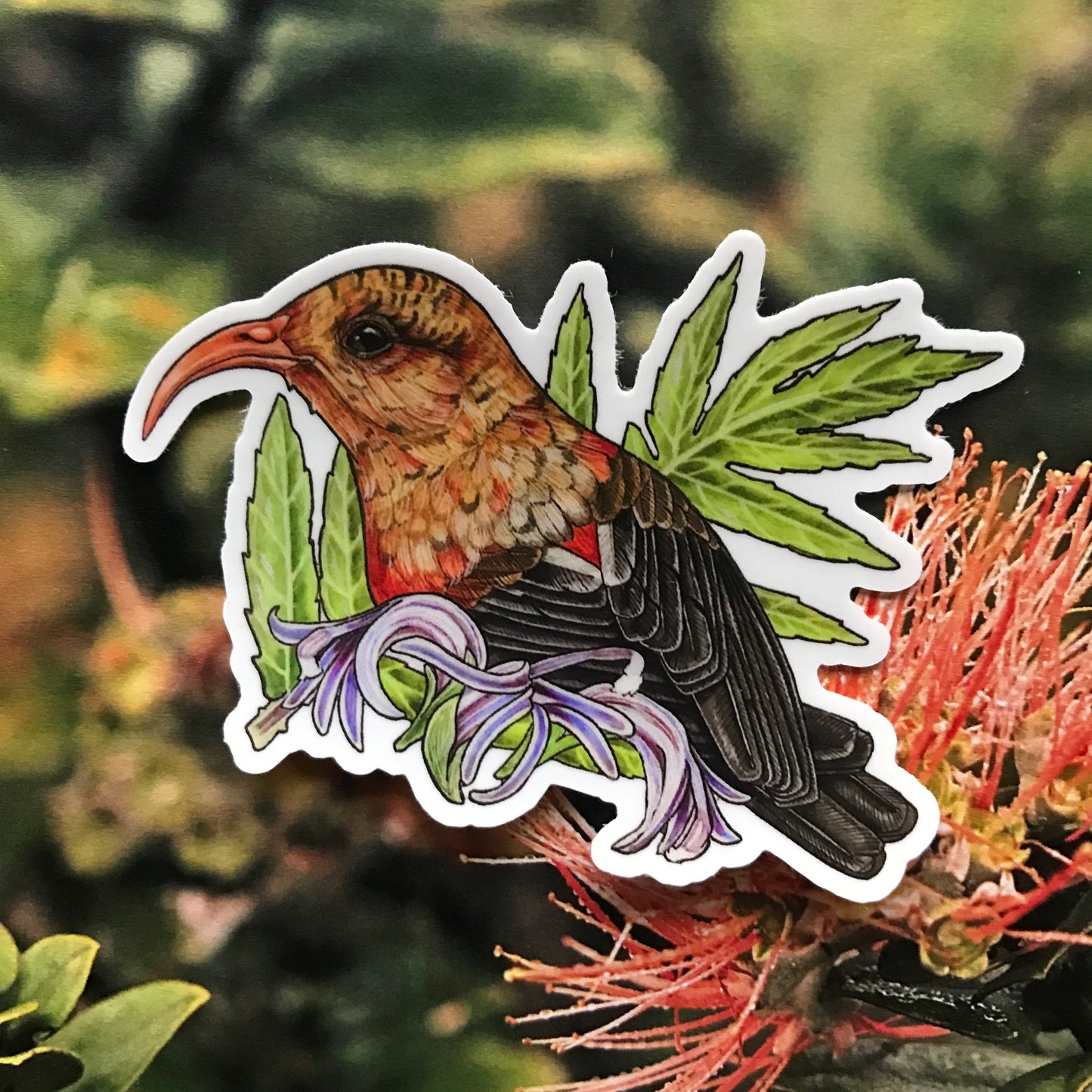 'I'iwi and hāhā sticker
