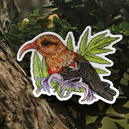 'I'iwi and hāhā sticker
