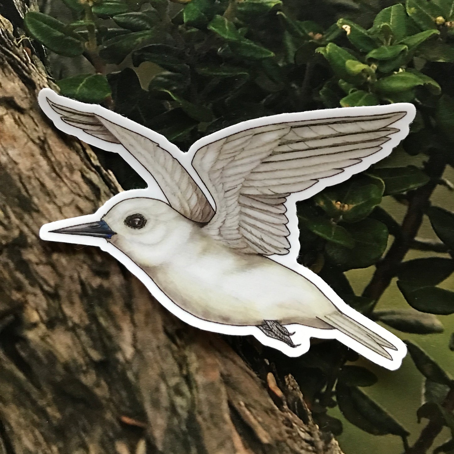 Manu o kū sticker