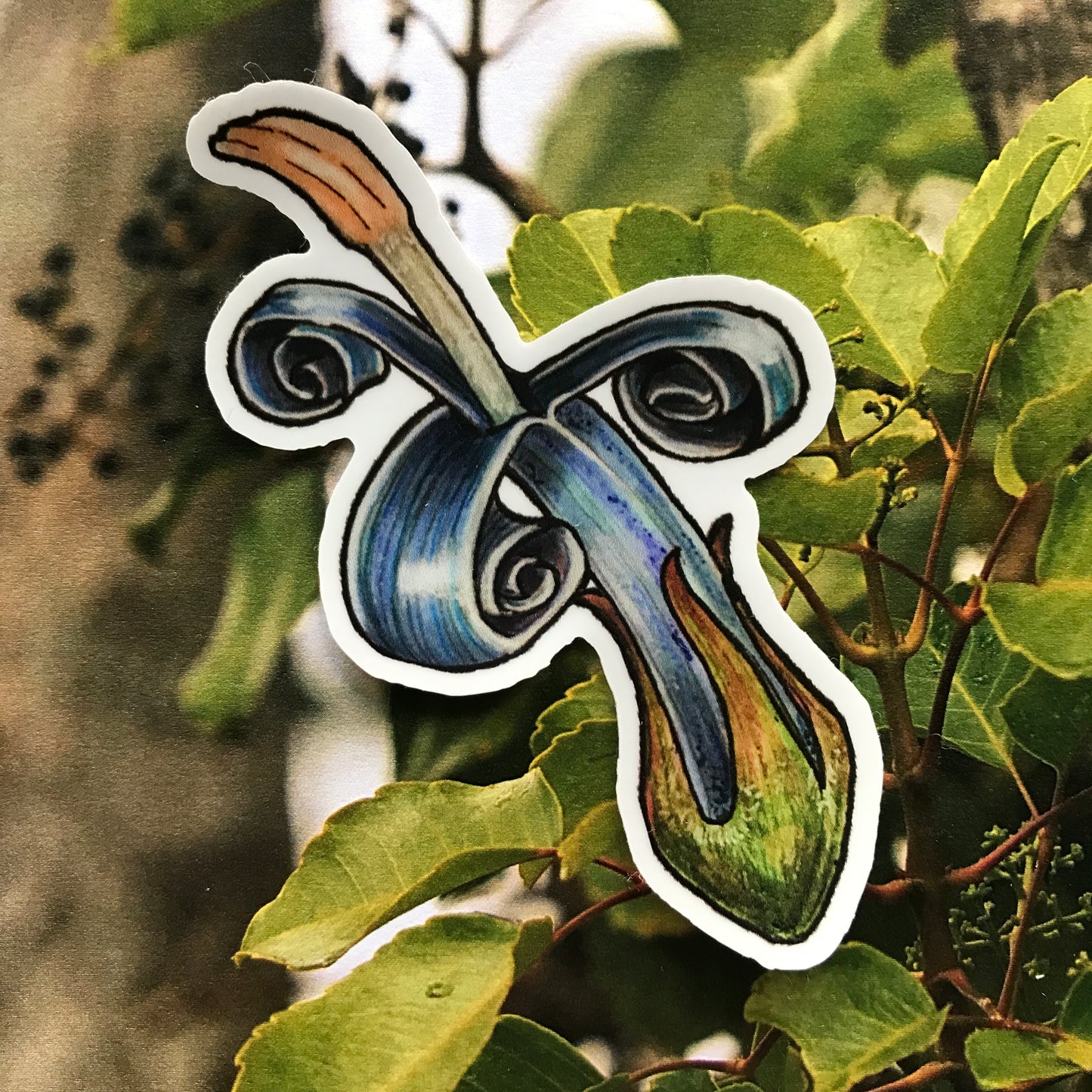 O'ahu Lobelia (Lobelia oahuensis) sticker