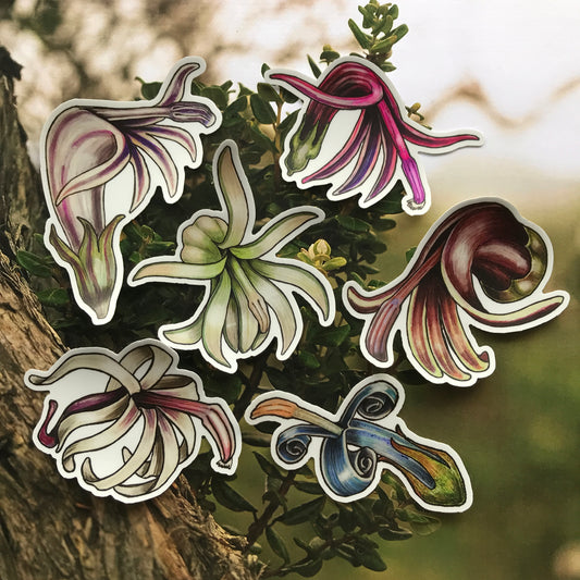 Hawaiian Lobelioid sticker pack (6 stickers)