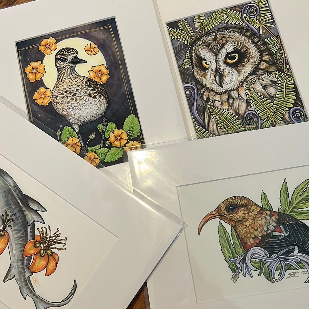 Matting for 8"x10" prints