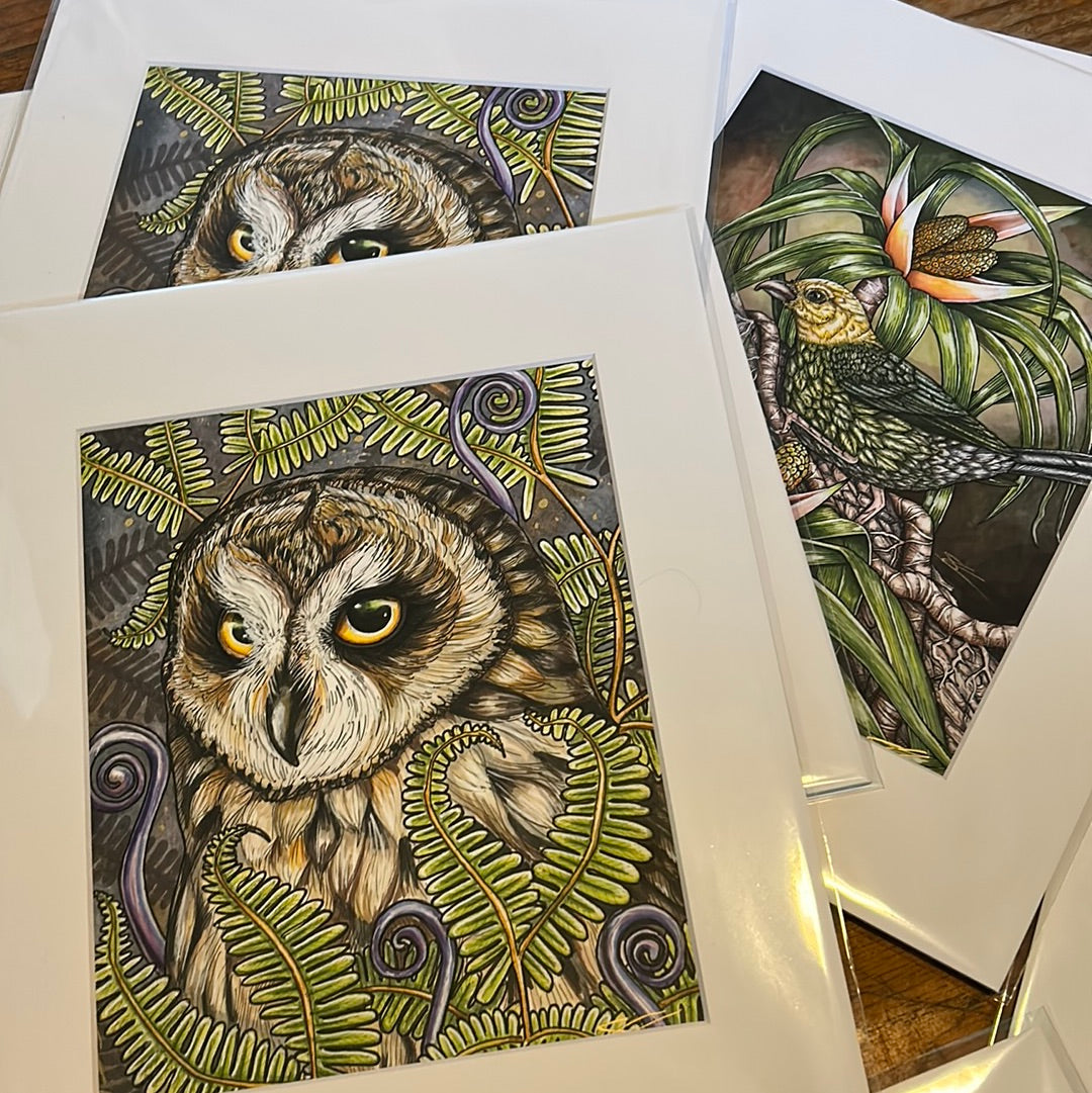 Matting for 8"x10" prints