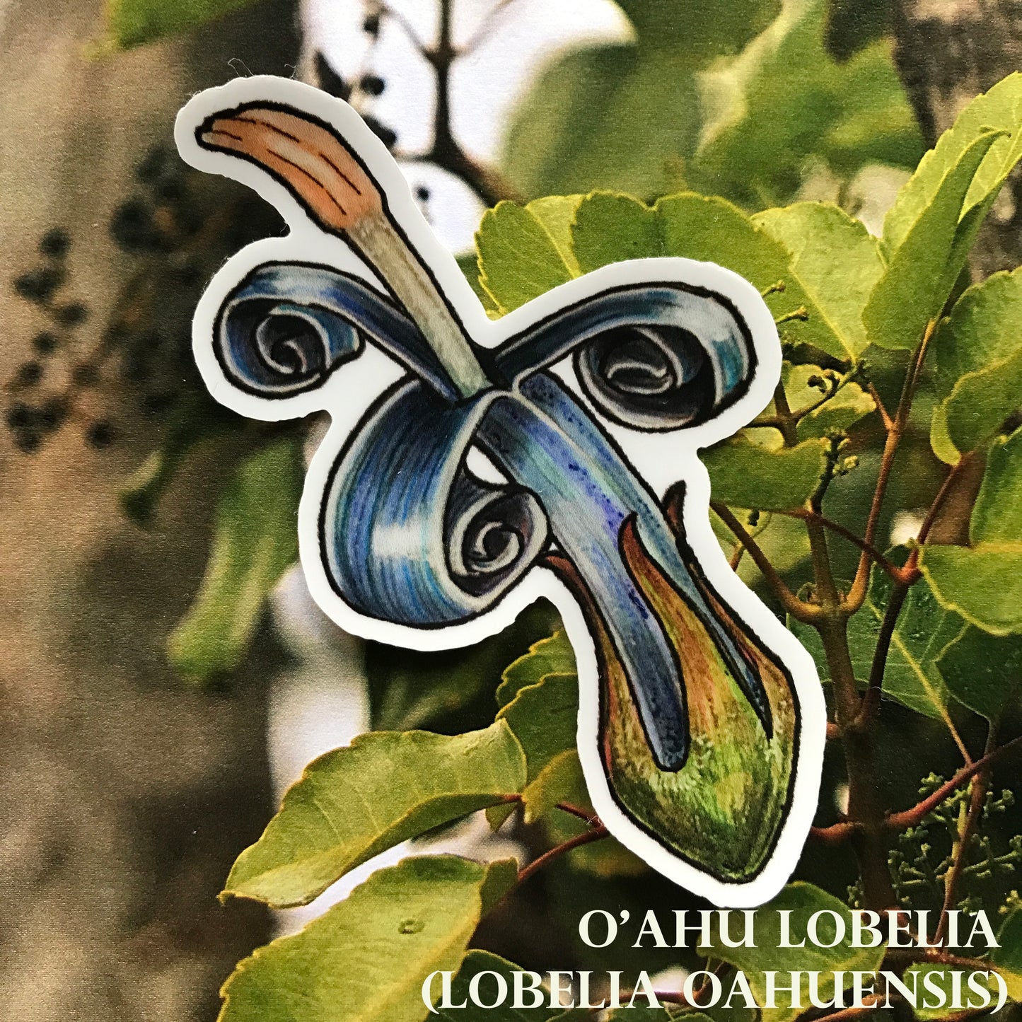 Hawaiian Lobelioid sticker pack (6 stickers)