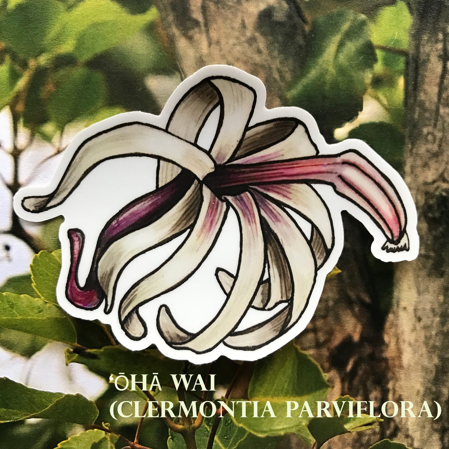 Hawaiian Lobelioid sticker pack (6 stickers)