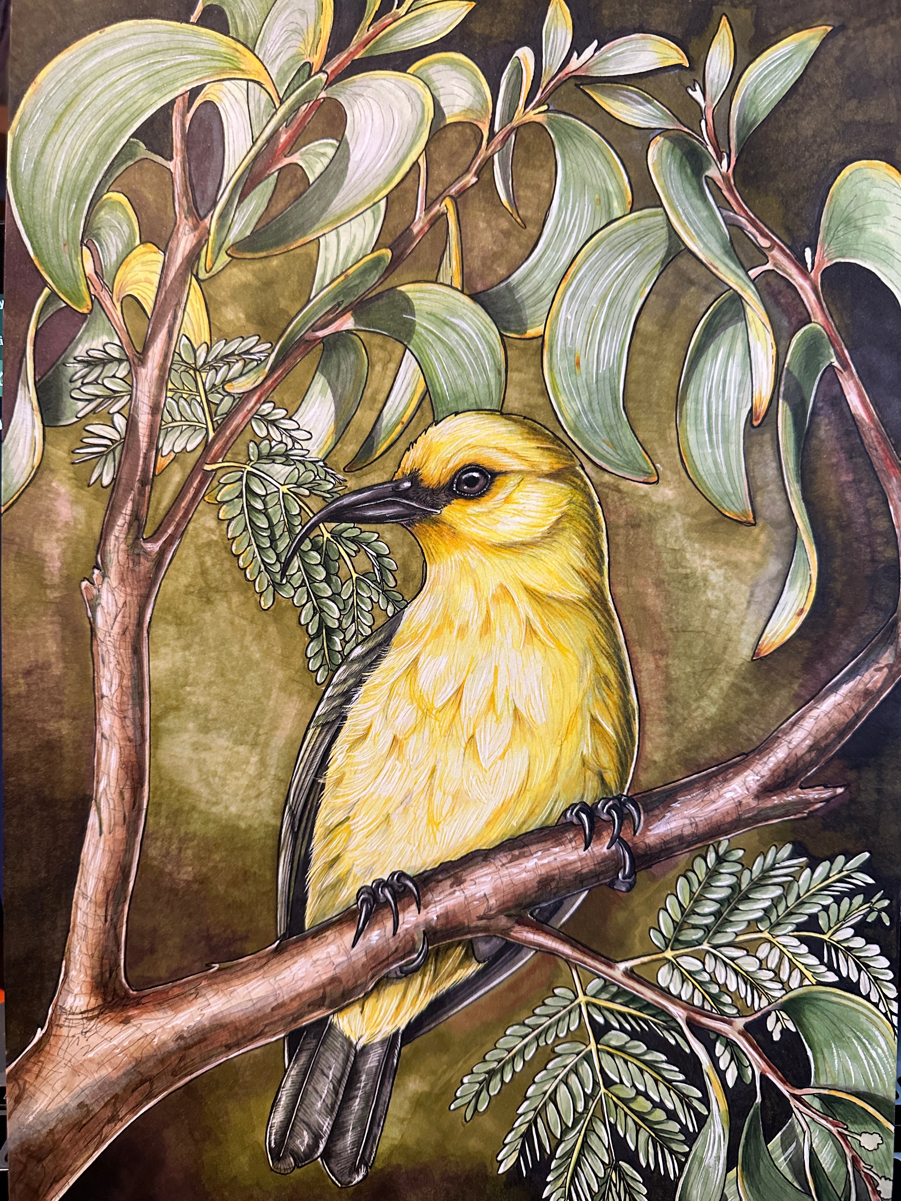 Originals – Autochthonous Hawai'i