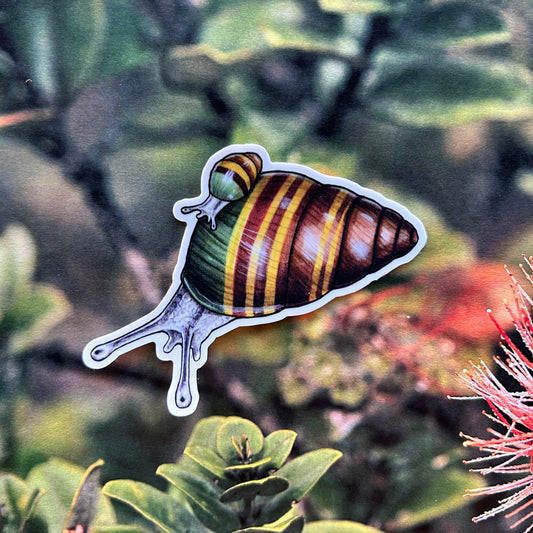 Kāhuli (Achatinella abbreviata) sticker