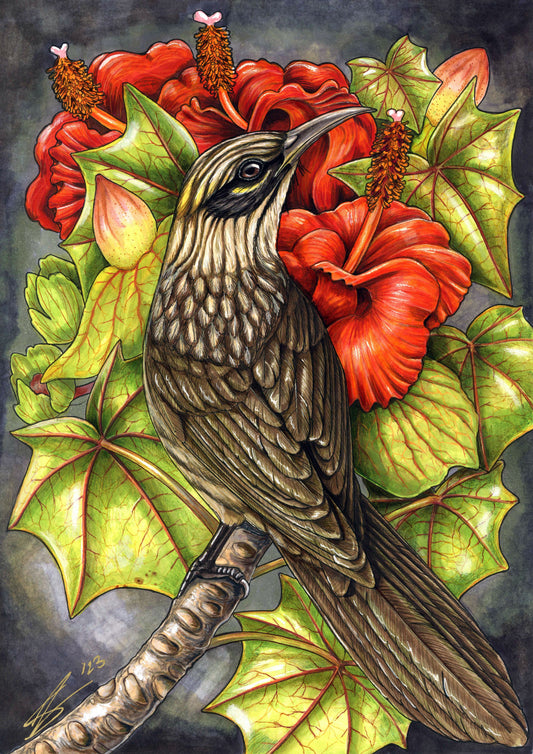 Kioea and Hau Hele 'Ula print