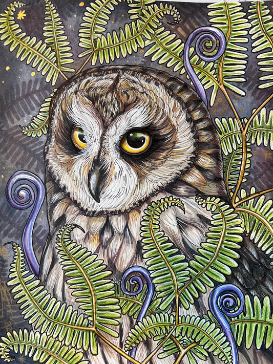 Pueo and uluhe by Saxony Charlot