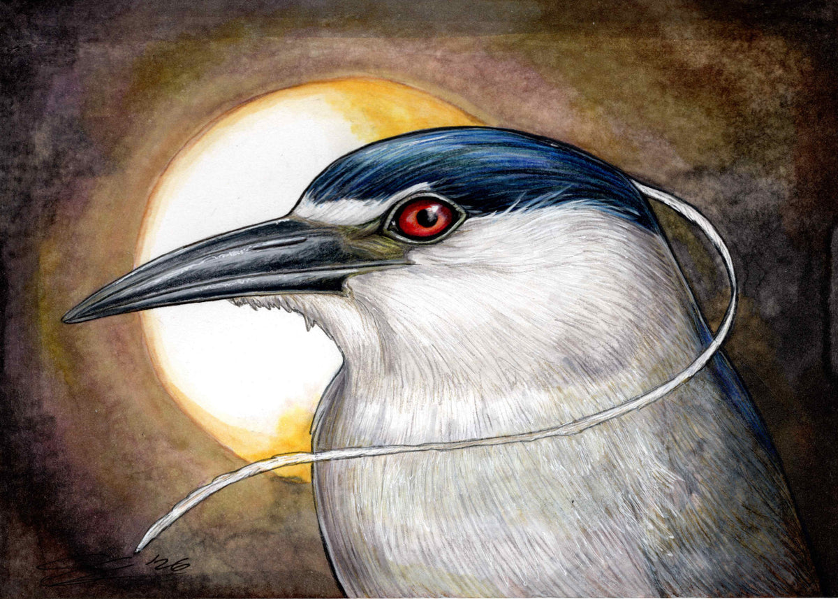 ʻAukuʻu original