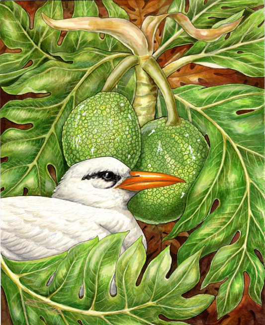 Koaʻe kea and ʻUlu original