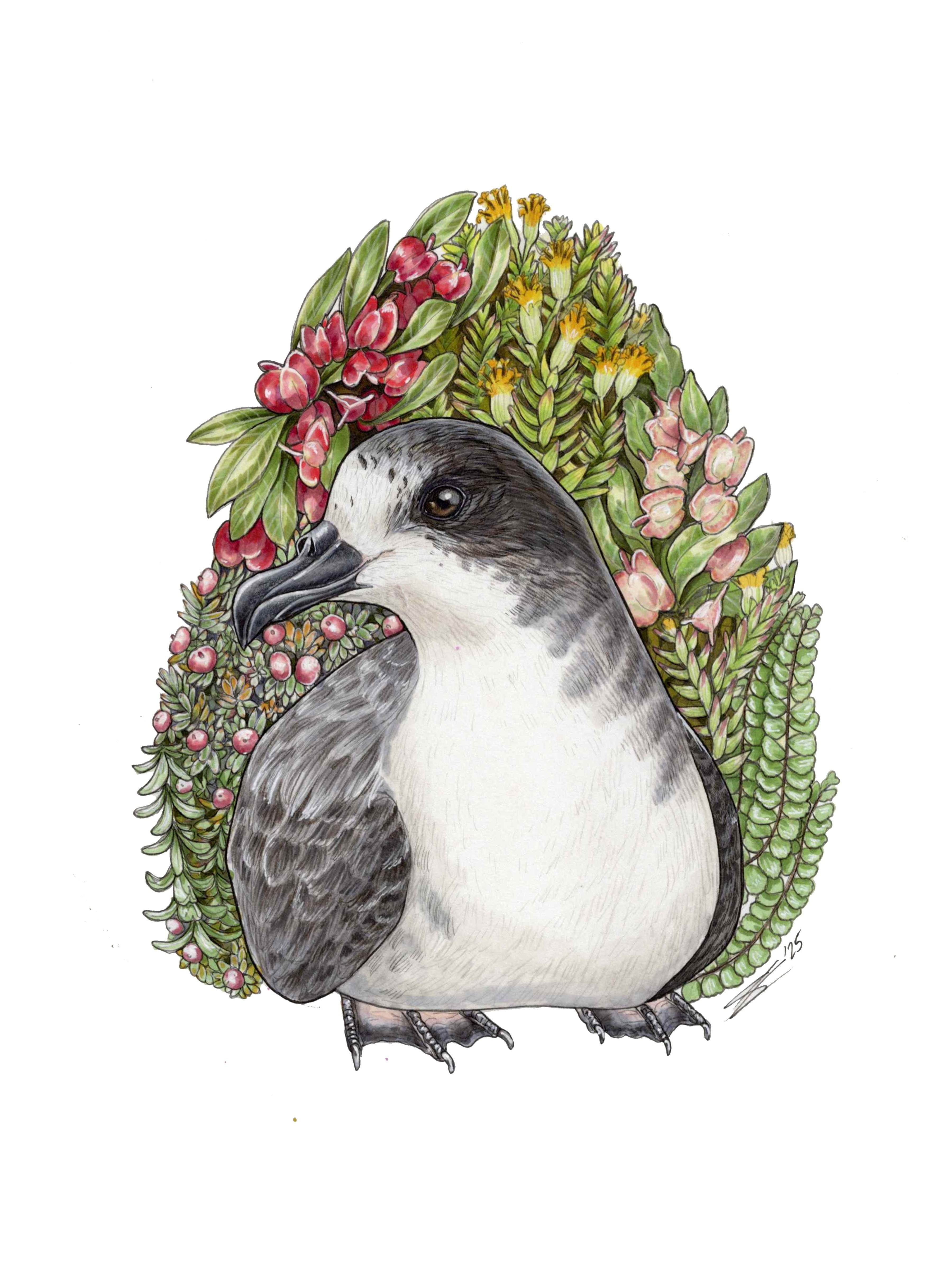 Originals – Autochthonous Hawai'i
