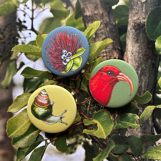 Wet Forest Pin Pack